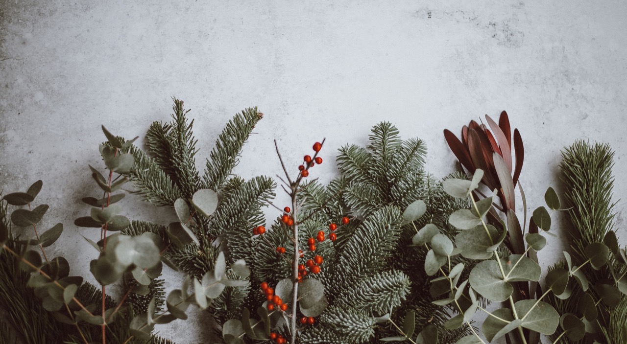 This week is Christmas week, to celebrate I have prepared a new playlist that includes courses as well as readings to enjoy if you have some minutes for yourself. /featuredimages/30mindevelopment28_v2.jpg