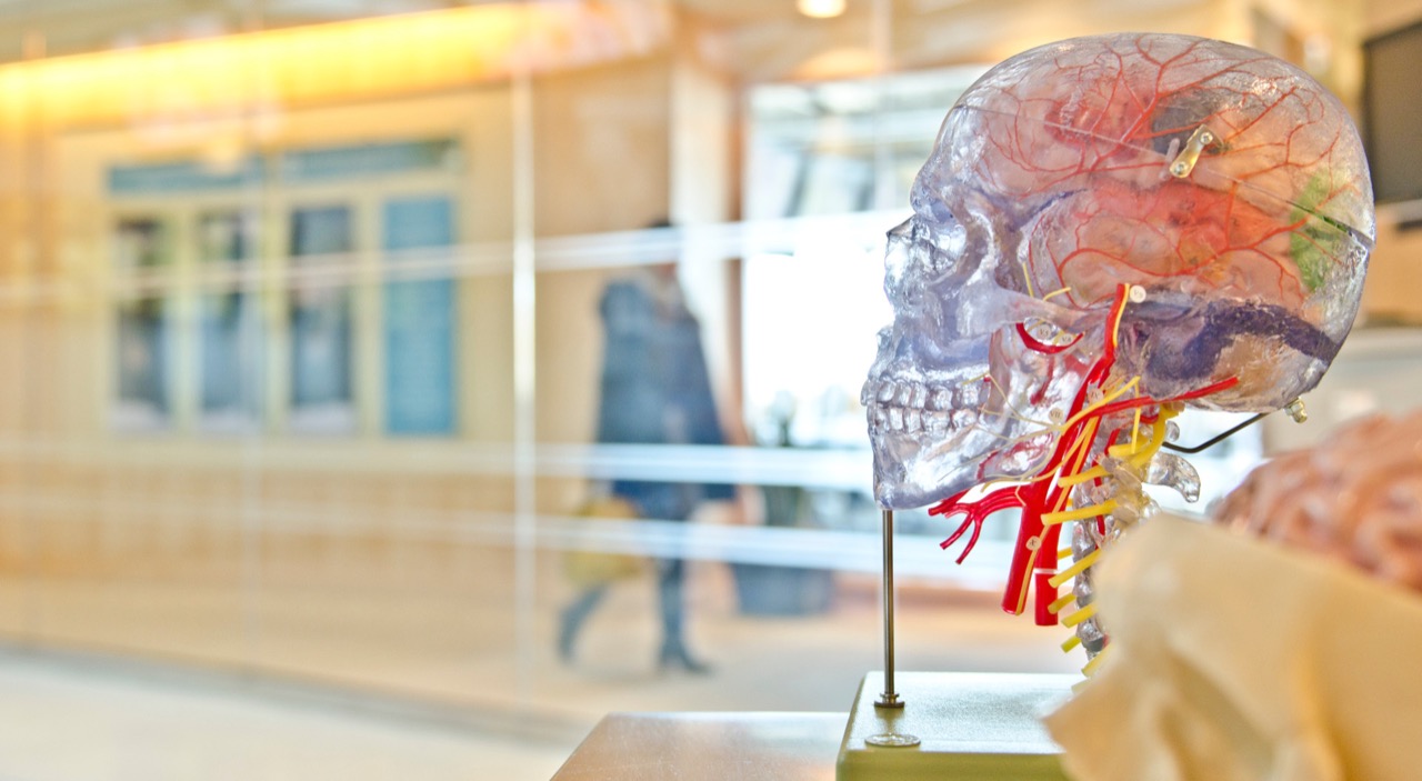 After my post in Learning Style and the interest shown in the topic, I decided to share one of the courses I am taking on Coursera /featuredimages/MoreonLearningTechniques.jpg