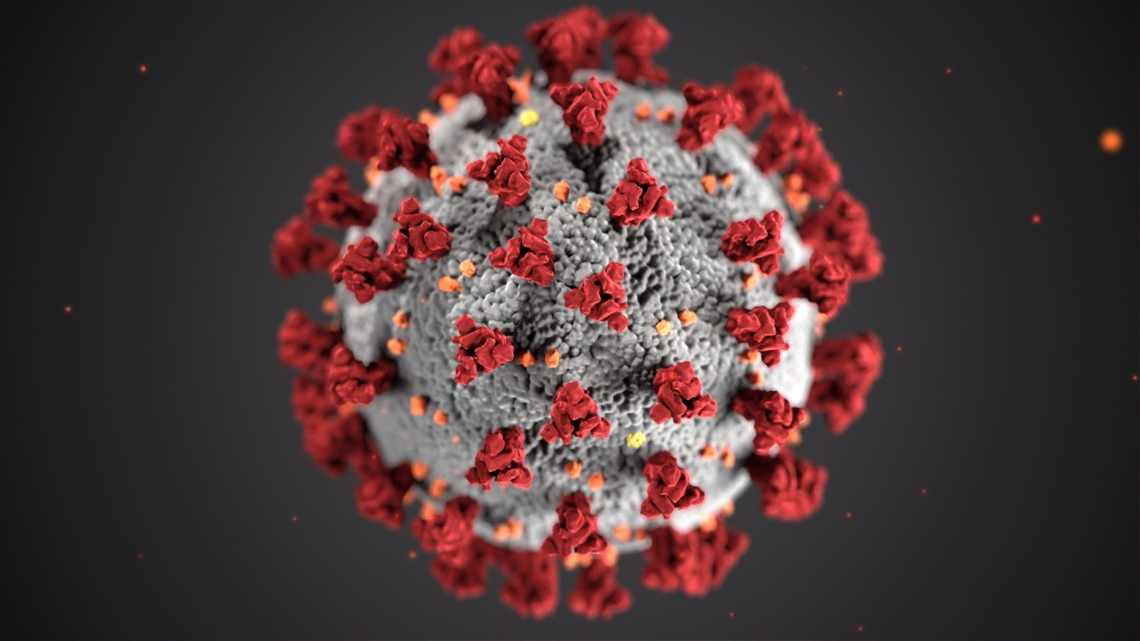 Due to the Coronavirus outbreak in the UK, I decided to compile a playlist of courses and articles from recognised entities. This information will help you understand what the Coronavirus is and how to reduce the risk of infection. /featuredimages/cdc-corona19_v2.jpg
