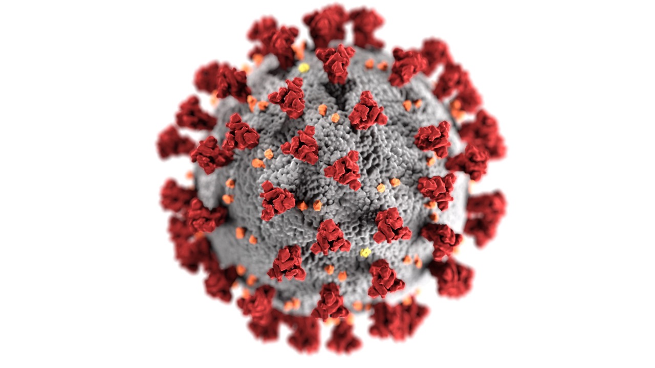 Continuing with the series of post dedicated to coronavirus (COVID-19) here is the second of them, with more information and fact about this outbreak. In the section with courses related to coronavirus, the one from MedCram is highly recommended. /featuredimages/cdc-covid19_v2.jpg